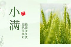 諾海化工 | 物迎夏熟，恰人生小得盈滿(mǎn)